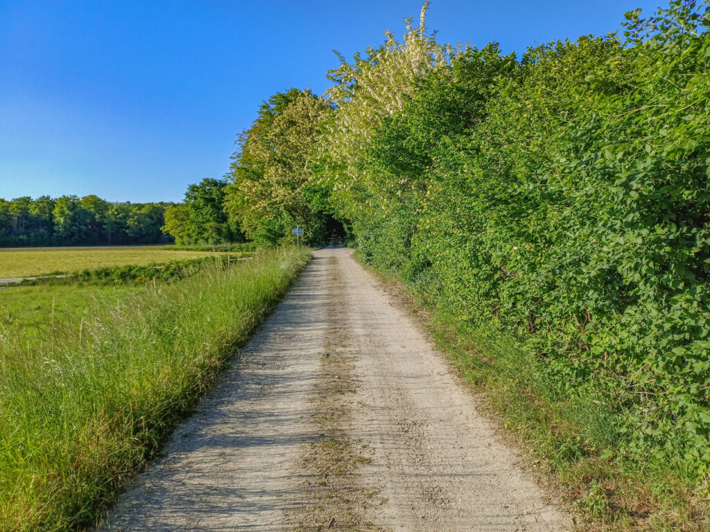 Radwege 5